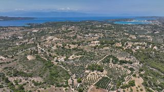 Αγροτεμάχια 40.000 τ.μ. προς πώληση, Κουνούπι-thumb-19
