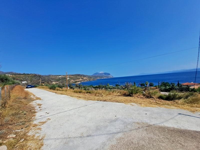 Αγροτεμάχια 4.000 τ.μ. προς πώληση, Σηπιάδα Λίμνης