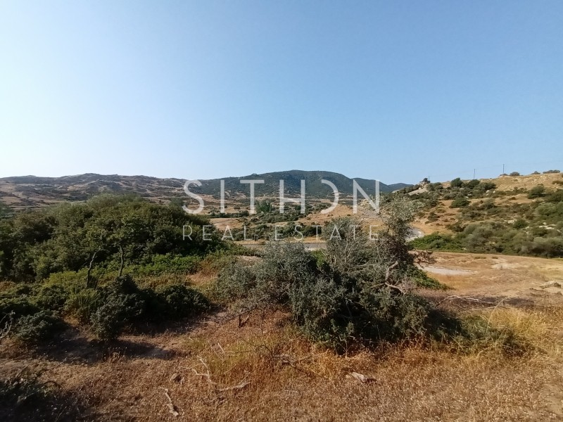 Οικόπεδο 500 τ.μ. προς πώληση, Σκάλα Συκέας