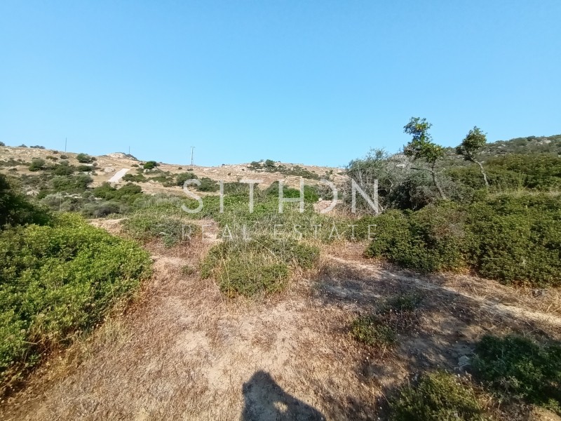 Οικόπεδο 500 τ.μ. προς πώληση, Σκάλα Συκέας