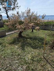 Μονοκατοικία 144 τ.μ. προς πώληση, Ιτιές-thumb-12