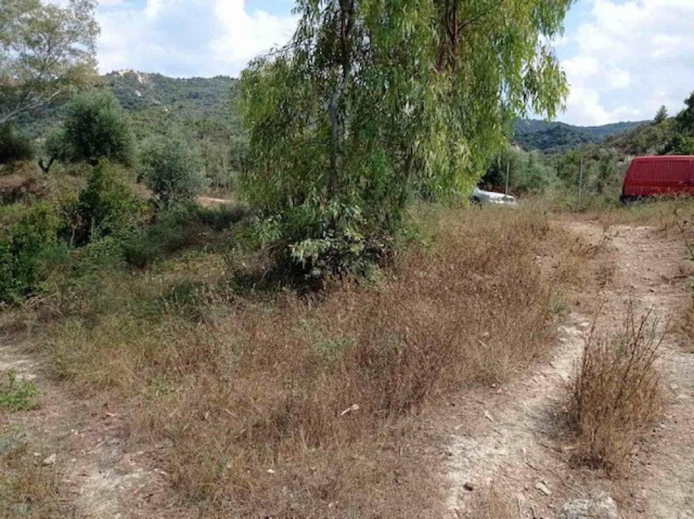 Αγροτεμάχια 2.410 τ.μ. πρός πώληση, Κορινθία, Ξυλόκαστρο
