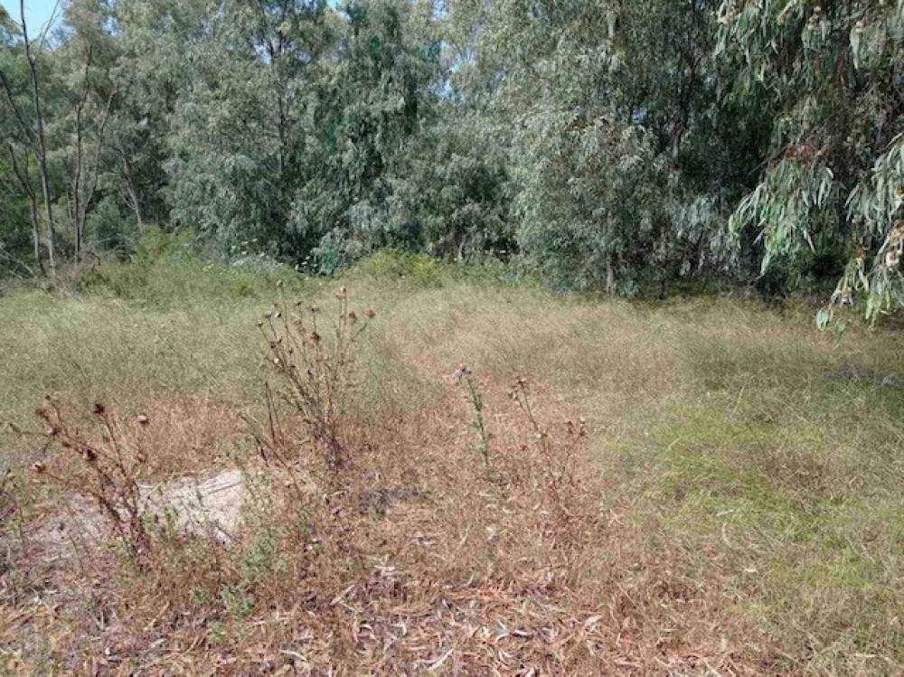Αγροτεμάχια 2.410 τ.μ. πρός πώληση, Κορινθία, Ξυλόκαστρο
