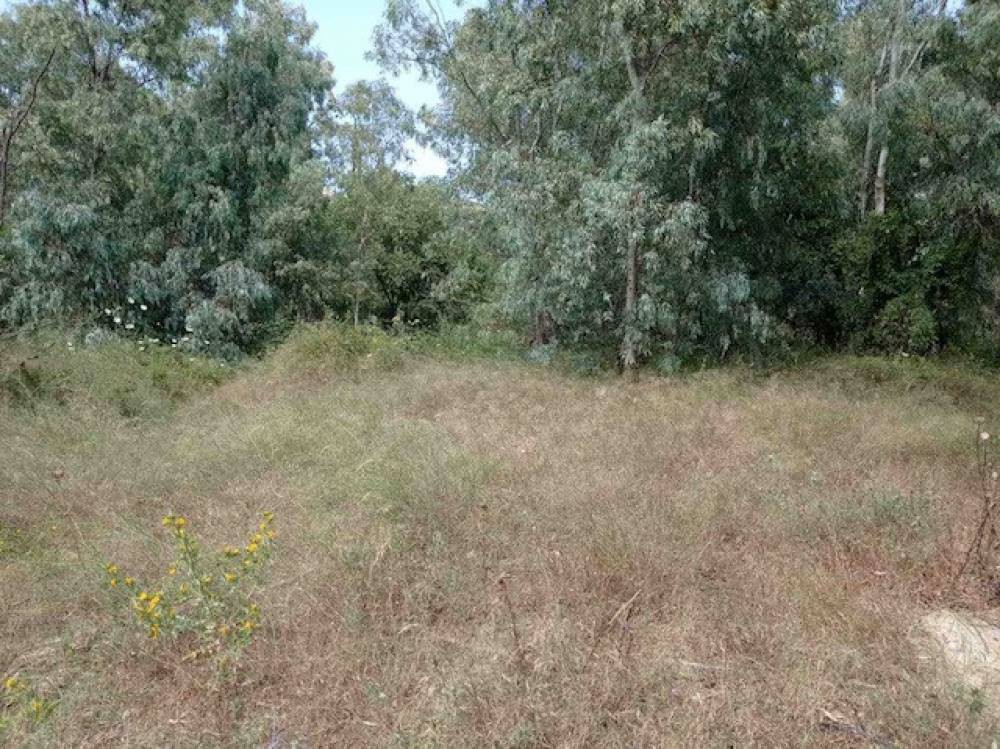 Αγροτεμάχια 2.410 τ.μ. πρός πώληση, Κορινθία, Ξυλόκαστρο