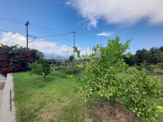 Studio / γκαρσονιέρα 30 τ.μ. για ενοικίαση, Αχαΐα, Ρίο-thumb-18
