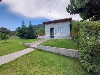 Studio / γκαρσονιέρα 30 τ.μ. για ενοικίαση, Αχαΐα, Ρίο-thumb-17