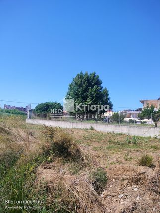 Αγροτεμάχια 569 τ.μ. για πώληση, Ν. Ηλείας, Πύργος