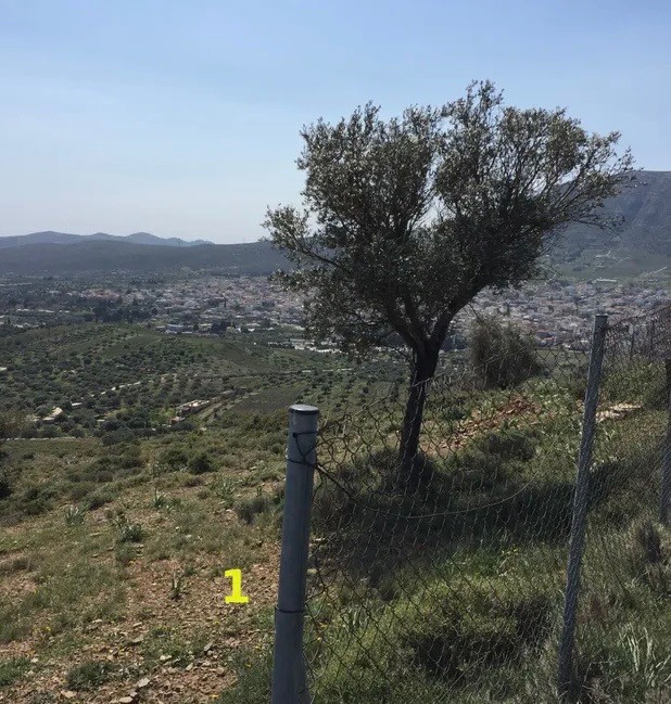 Αγροτεμάχια 11.250 τ.μ. προς πώληση, Κέντρο Κερατέας