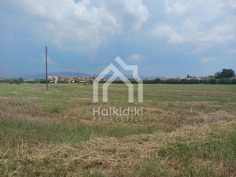 Αγροτεμάχια 45.000τ.μ. για πώληση-Σιθωνία » Παρθενώνας