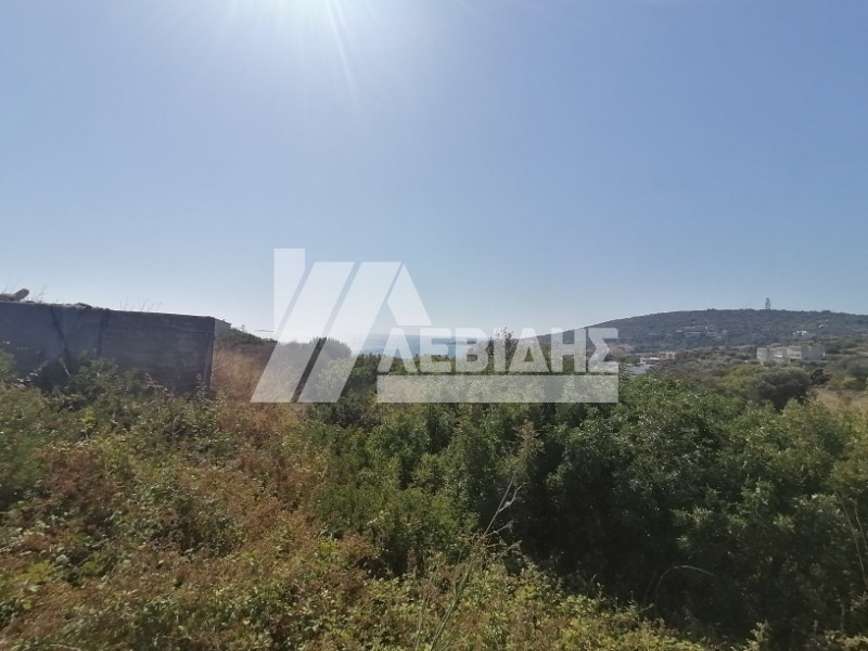 Οικόπεδο 9.034 τ.μ. για πώληση, Ν. Χίου, Χίος
