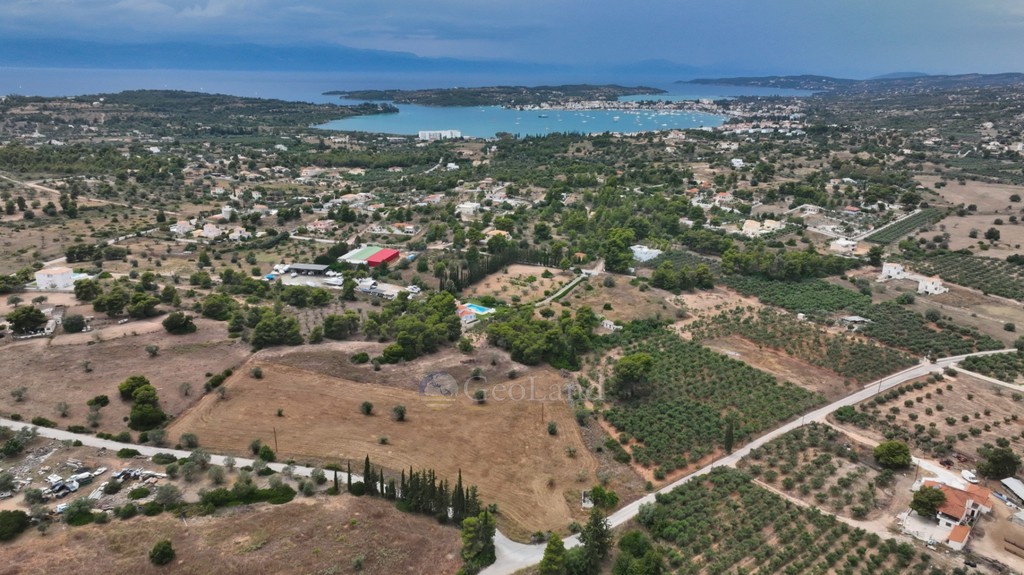 Αγροτεμάχια 13.000 τ.μ. προς πώληση, Άγιος Αιμιλιανός