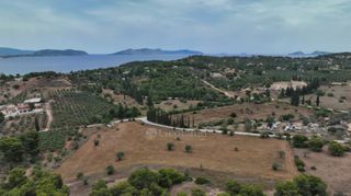 Αγροτεμάχια 13.000 τ.μ. προς πώληση, Άγιος Αιμιλιανός-thumb-12
