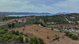 Αγροτεμάχια 13.000 τ.μ. προς πώληση, Άγιος Αιμιλιανός-thumb-20