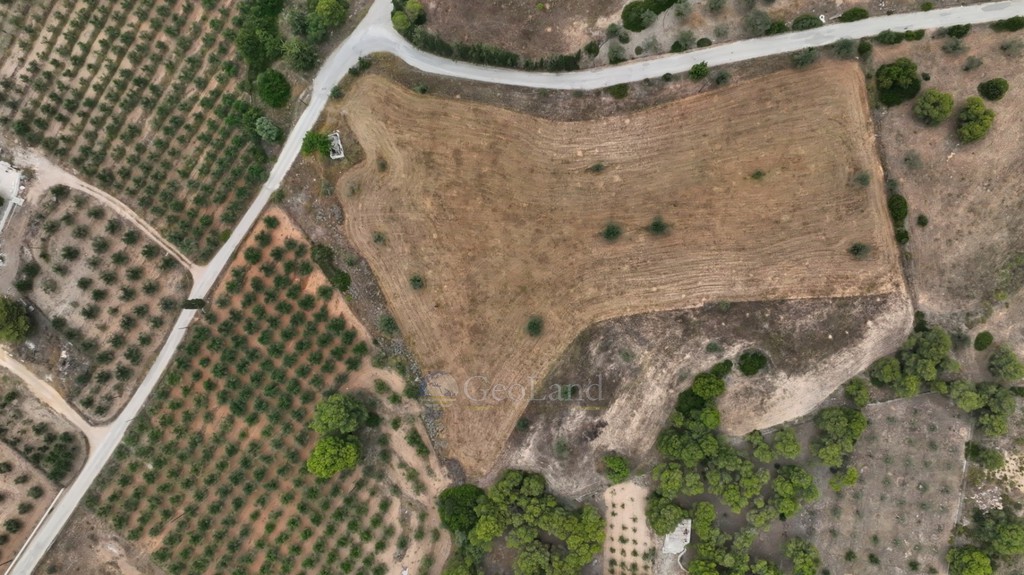 Αγροτεμάχια 13.000 τ.μ. προς πώληση, Άγιος Αιμιλιανός