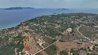 Αγροτεμάχια 13.000 τ.μ. προς πώληση, Άγιος Αιμιλιανός-thumb-13