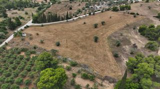 Αγροτεμάχια 13.000 τ.μ. προς πώληση, Άγιος Αιμιλιανός-thumb-21
