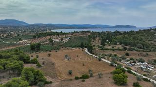 Αγροτεμάχια 13.000 τ.μ. προς πώληση, Άγιος Αιμιλιανός-thumb-9