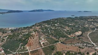 Αγροτεμάχια 13.000 τ.μ. προς πώληση, Άγιος Αιμιλιανός-thumb-15