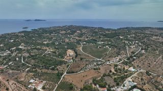Αγροτεμάχια 13.000 τ.μ. προς πώληση, Άγιος Αιμιλιανός-thumb-8