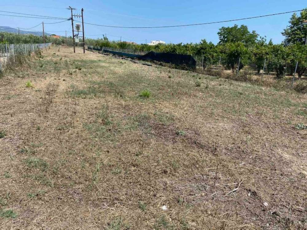 Οικόπεδο 2.300 τ.μ. πρός πώληση, Κορινθία, Βόχα