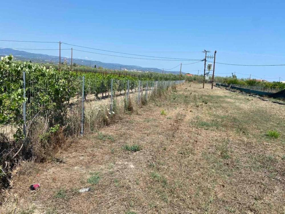 Οικόπεδο 2.300 τ.μ. πρός πώληση, Κορινθία, Βόχα