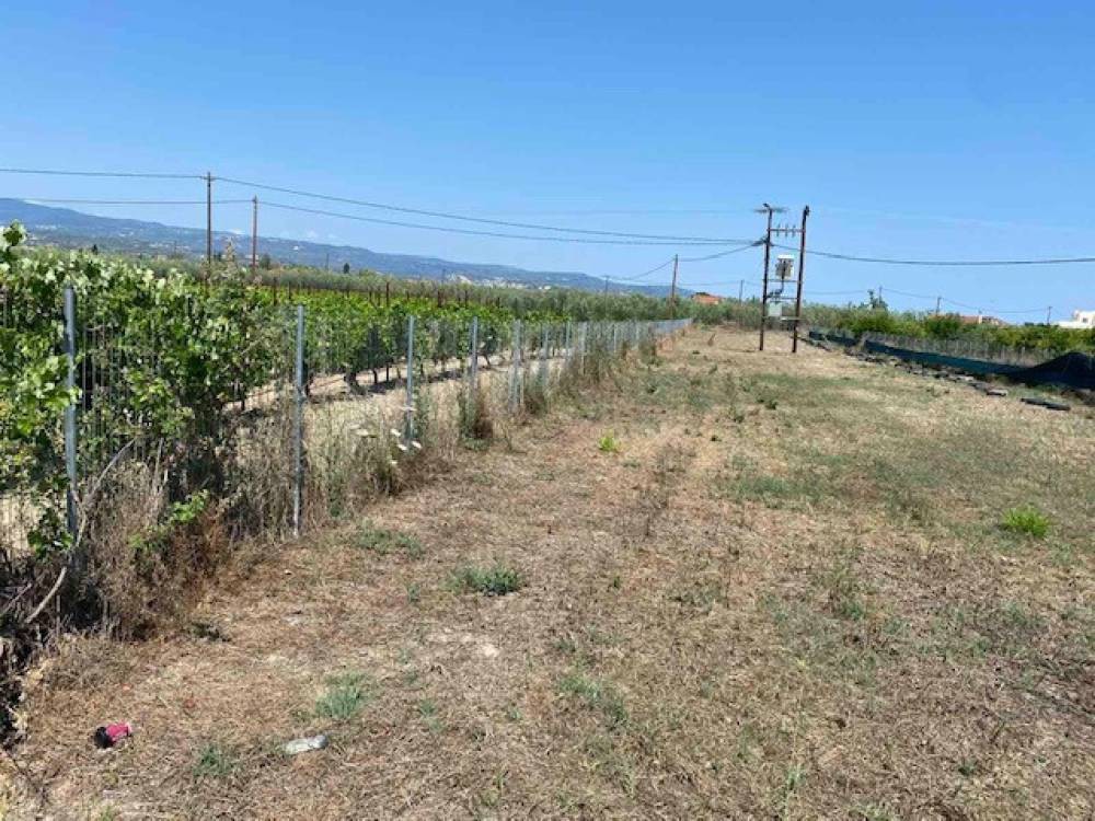 Οικόπεδο 2.300 τ.μ. πρός πώληση, Κορινθία, Βόχα