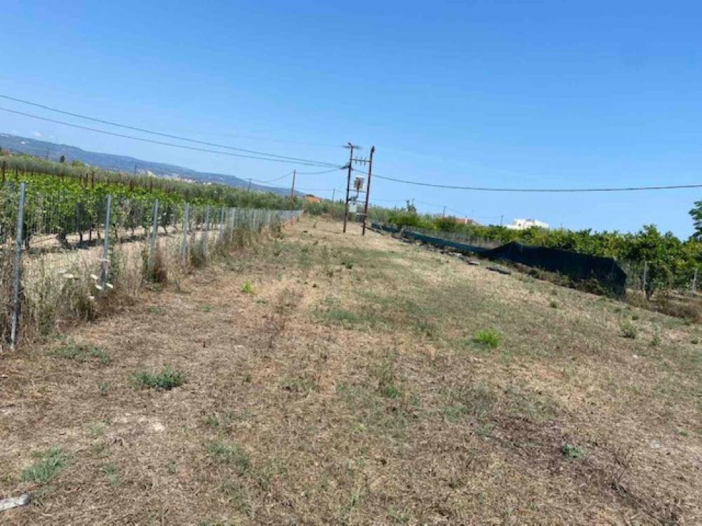 Οικόπεδο 2.300 τ.μ. πρός πώληση, Κορινθία, Βόχα