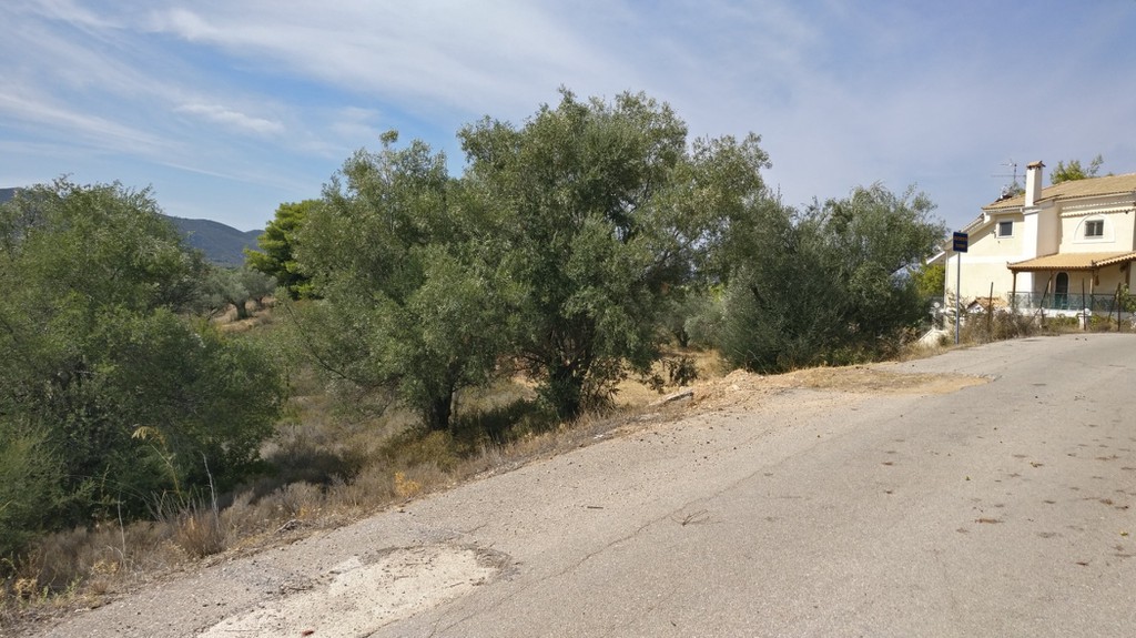 Οικόπεδο 4.672 τ.μ. προς πώληση, Μαρκόπουλο Ωρωπού