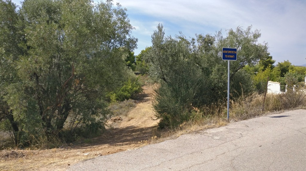 Οικόπεδο 4.672 τ.μ. προς πώληση, Μαρκόπουλο Ωρωπού