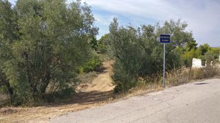 Οικόπεδο 4.672 τ.μ. προς πώληση, Μαρκόπουλο Ωρωπού-thumb-3