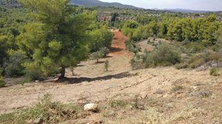 Οικόπεδο 4.672 τ.μ. προς πώληση, Μαρκόπουλο Ωρωπού-thumb-5