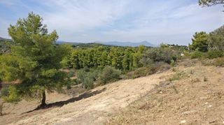 Οικόπεδο 4.672 τ.μ. προς πώληση, Μαρκόπουλο Ωρωπού-thumb-8