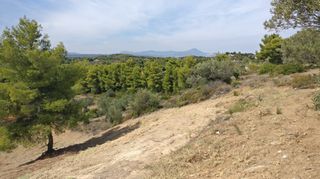 Οικόπεδο 4.672 τ.μ. προς πώληση, Μαρκόπουλο Ωρωπού-thumb-9