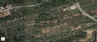 Οικόπεδο 4.672 τ.μ. προς πώληση, Μαρκόπουλο Ωρωπού-thumb-14