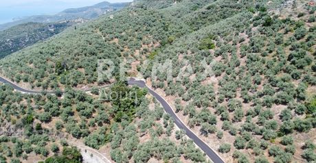 Parcel 10.760sqm for sale-Milies » Agios Athanasios