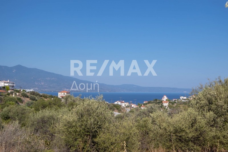 Οικόπεδο 605 τ.μ. πρός πώληση, Μαγνησία, Βόλος