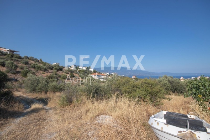 Οικόπεδο 605 τ.μ. πρός πώληση, Μαγνησία, Βόλος