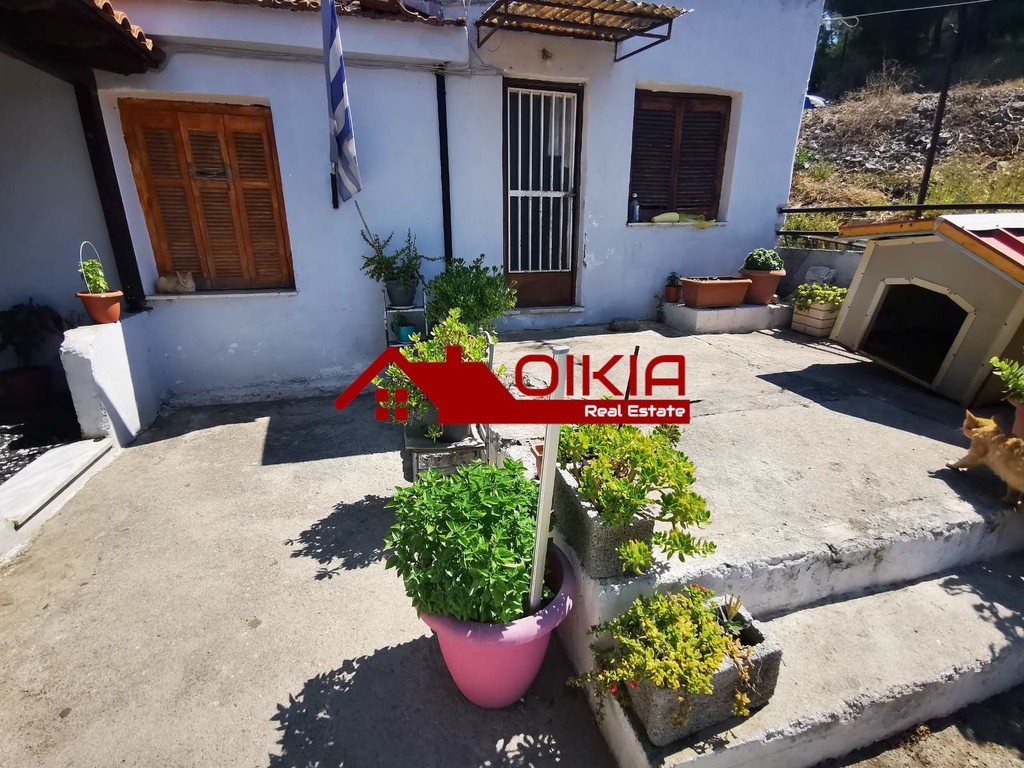 Μονοκατοικία 110 τ.μ. πρός πώληση, Μαγνησία, Βόλος