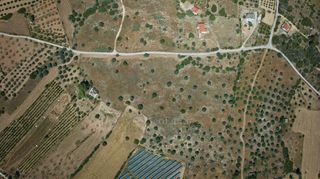Αγροτεμάχια 25.000 τ.μ. για πώληση, Αργολίδα, Κρανίδι-thumb-2