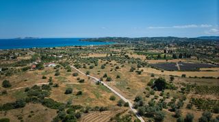 Αγροτεμάχια 25.000 τ.μ. για πώληση, Αργολίδα, Κρανίδι-thumb-6