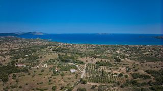 Αγροτεμάχια 25.000 τ.μ. για πώληση, Αργολίδα, Κρανίδι-thumb-18