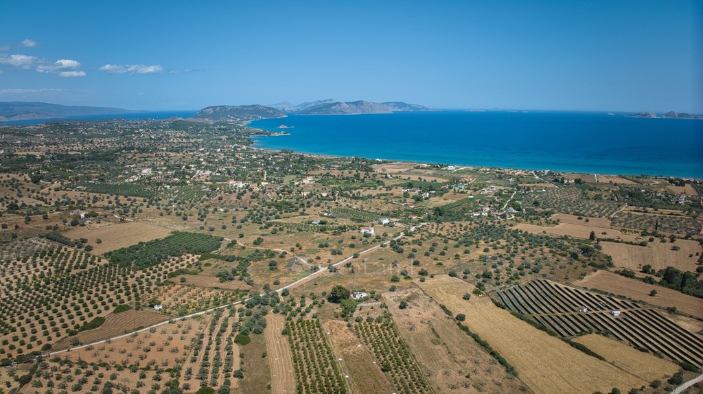 Αγροτεμάχια 25.000 τ.μ. πρός πώληση, Αργολίδα, Κρανίδι