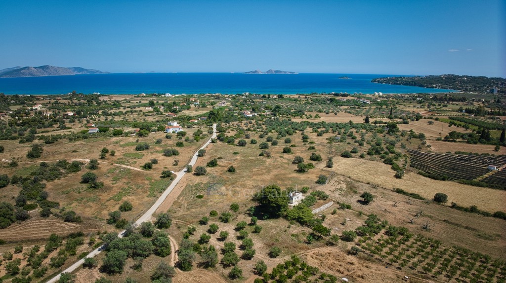 Αγροτεμάχια 25.000 τ.μ. για πώληση, Αργολίδα, Κρανίδι