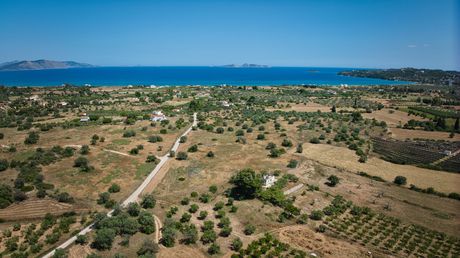 Αγροτεμάχια 25.000 τ.μ. για πώληση