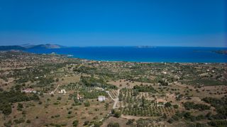 Αγροτεμάχια 14.000 τ.μ. για πώληση, Αργολίδα, Κρανίδι-thumb-10