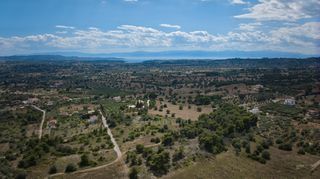 Αγροτεμάχια 14.000 τ.μ. για πώληση, Αργολίδα, Κρανίδι-thumb-18
