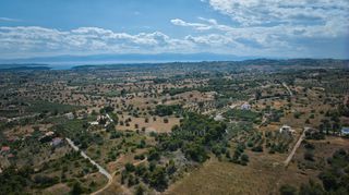 Αγροτεμάχια 14.000 τ.μ. για πώληση, Αργολίδα, Κρανίδι-thumb-12
