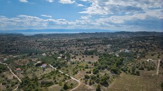 Αγροτεμάχια 14.000 τ.μ. για πώληση, Αργολίδα, Κρανίδι-thumb-8
