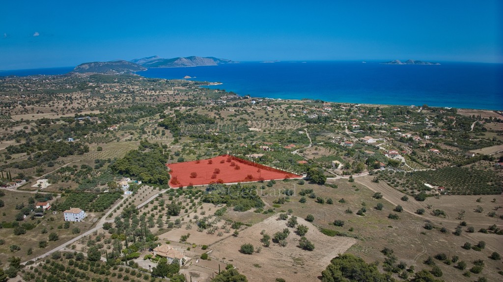 Αγροτεμάχια 14.000 τ.μ. πρός πώληση, Αργολίδα, Κρανίδι