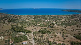 Αγροτεμάχια 14.000 τ.μ. για πώληση